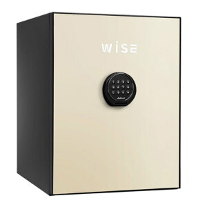 yԌ11/26܂Łzyݒu݁zeL[ WISEω΋ fBv}bg WS500ALC N[ d65kg ωΎ1 /eL[^Cv | ƒp ω ω΋ ƒp Ïؔ