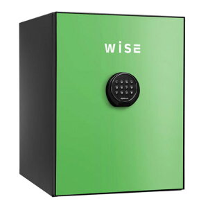 [J[݌Ɍ yݒu݁zeL[ WISEω΋ fBv}bg WS500ALG O[ d65kg ωΎ1 /eL[^Cv | ƒp ω ω΋ ƒp Ïؔԍ e