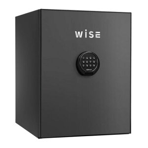yԌ11/26܂Łzyݒu݁zeL[ WISEω΋ fBv}bg WS500ALDG _[NOC d65kg ωΎ1 /eL[^Cv | ω ω΋ ƒp eL[