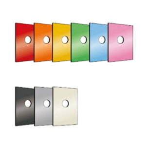 [J[݌Ɍ fBv}bg WISE IvV tgpl Cgu[ WS500FPB 5kg |  ƒp ƒp Ɩp  ω ω΋ pl R[fBl[g ^b` AN