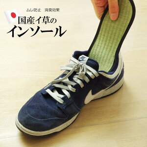 CPqR C\[ WjA L R wC\[x 17cm (IGSIS17)