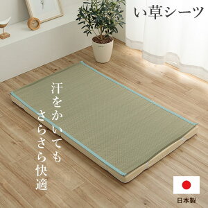 CPqR Q V[c ~pbh Y { 炳 z  L ȒP xr[TCY 70×120cm (IYASHI70120)