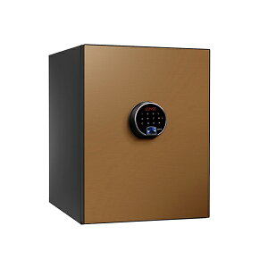 yݒu݁zeL[ BEYOND ω΋ fBv}bg BY500CG VpS[h d60kg ωΎ1 /eL[^Cv | ƒp ω ƒp Ïؔԍ eL[  