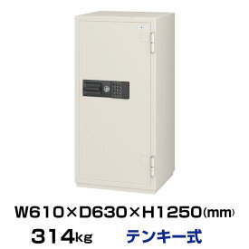 【車上渡し】テンキー式 耐火金庫 エーコー EIKO CSG-92E 重量314kg 準耐火時間2時間 /テンキー＋鍵(シリンダーキー)タイプ | きんこ エイコー トップジャパン 家庭用金庫 家庭用 大型金庫大型金庫 耐火 店舗 暗証番号 会社 書類 防犯対策 金庫 大型 金庫大型 業務用 家庭