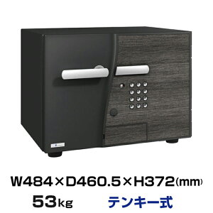 yݒu݁zeL[ ω΋ G[R[ DFS2-E 53kg ωΎ1 /eL[{(V_[L[)^Cv| ^  ~j EIKO A4[\ ^  ƒp ω X