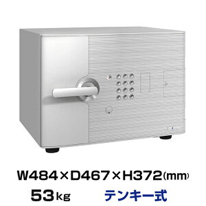 yݒu݁zeL[ ω΋ G[R[ DFS1-E 53kg ωΎ1 /eL[{(V_[L[)^Cv |  ^  ~j EIKO ^  ƒp ω ۊǌ a4 
