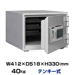 ynzeL[ ω΋ _CZ[t DH30-S 40kg ωΎ30 /eL[^Cv(L[X)| ^  ~j ^ ƒp ƒp dq h ω gbvW