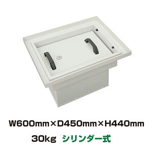 yԏnz(󒍐Y) o[Vu  {ACGXPC FLS-21 d30kg ItzCg /(o[Vu)^Cv { | V_[ B J[ybg Ƌ B ΍