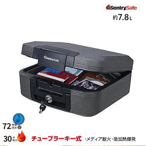  ^  Zg[ sentry `[u[L[ ω΁Eh|[^uۊǌ CHW20201 d9.3kg ωΎ30/`[u[ | Ɩp ^ gbvWp ƒp ω΋ 