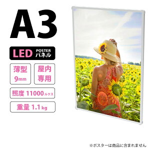 ySSԒ P2{z^PxLED|X^[pl (A3TCY) p LB-A3TH | Vo[ |X^[t[ dŔ obNCg Cgpl  Ǌ| L{[h y X܊Ŕ f t