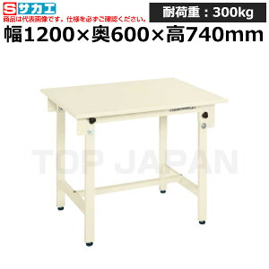 yԏnzTJG SAKAE yʍƑCK^CvCK-126SNI -36653 (d:30kg) | [NfXN uˑ  B i g   H H u DIYƑ Ɨpe[u Ɩ