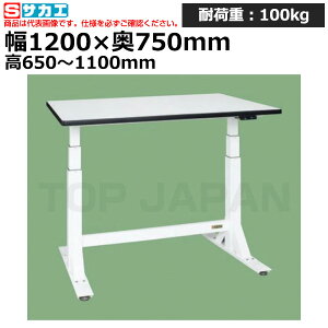 yԏnzTJG SAKAE d~Ƒ (ʃ^Cv) DLK-127WPWN (036021) (d:50kg) | [NfXN uˑ  B i g   H H u DIYƑ Ɨp