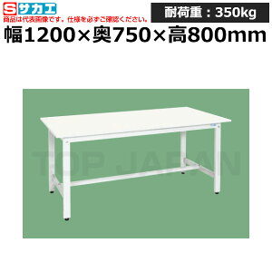 ySSԒ P2{zyԏnzTJG SAKAE yʍƑ (RہERECXV) KH-49VPW (047127) (d:22kg) | [NfXN uˑ  B i g   H H 