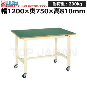 yԏnzTJG SAKAE yʍƑKK^Cv (ړ) KK-49FB1I (039719) (d:28kg) | [NfXN uˑ  B i g   H H u DIYƑ Ɨpe