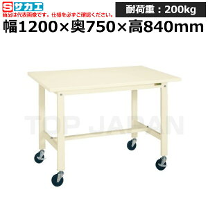 yԏnzTJG SAKAE yʍƑKK^Cv (ړ) KK-49SB2I (039815) (d:40kg) | [NfXN uˑ  B i g   H H u DIYƑ Ɨpe