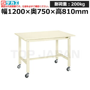 yԏnzTJG SAKAE yʍƑKK^Cv (ړEi) KK-49SUB1I (043217) (d:38kg) | [NfXN uˑ  B i g   H H u