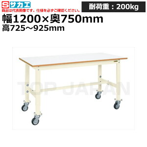 yԏnzTJG SAKAE yʍƑTKK^Cv (ړ) TKK6-127FJCIV (038624) (d:33kg) | [NfXN uˑ  B i g   H H u DIY