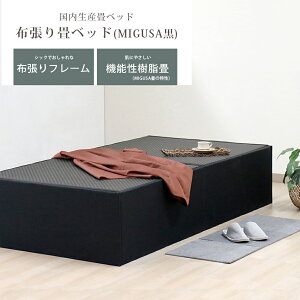 FV؍H TOMOZAWA { ZLXCMIGUSAgp zxbh (398) | Y fUC  CeA gȒP  Q Ƌ gU؍H |