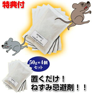 lY~ `[`[oCoCI ˂ lY~ l ˂  u Ί_   ȃlY~  lY~̌ȏL n[u Q `a A V~ lY~