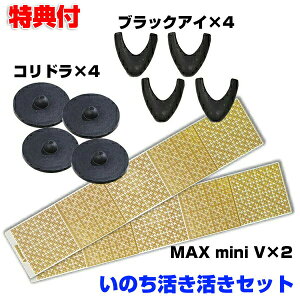 ̂Zbg jJ ێR搶 ێR Rh ubNAC MAX mini V Zbg yunika ێRC C nC C p[ q[O   R dg dgubJ[ d