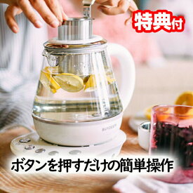 BUYDEEM 薬膳ティーポット 1.0L バイディーム 電気ケトル ストレーナー とろ火 お茶ポット 煮出しポット 煮込みポット 漢方茶 薬膳茶 ティーポット 薬膳ポット レシピブック 健康 家電 1000ml 薬膳茶 漢方 漢方茶