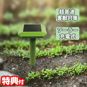 \[[[d Oފ Oގ O Qb΍ O쏜 y  O ǂ Qb O lY~ \[[ zd Oފ QbObY O