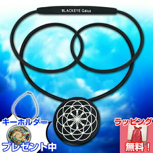 stL[z_[v[g ubNAC KCAXlbNX wێRRClbNX BLACK EYE Gaius Ji}`fUC jp NANZT[  p[X|bg j