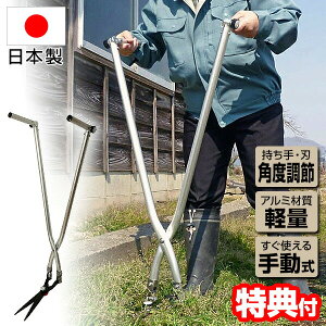 ƗpnT~ }`σ^Cv KC-4269 {  NN ؂ ܂ܑ  ͂  뉀 | 