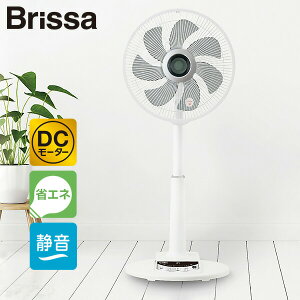 yIԌiiz ubT Brissa DC[^[ @ dCő50OFF É T[L[^[ ȃGl tR 30cm 7H DCrOt@ BFDF001WH DC@ U ^C}[ ؃^C}[ 