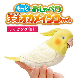 yIԌii+bsOz Ƃׂ V˃IJCR ׂ V˃CR Fl` bl` ׂ胍{bg ybg  CR ׂl` V˃C