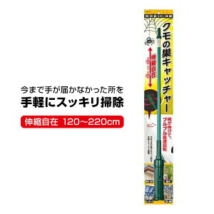 N̑Lb`[ KSC-01 w偂̑ Lk 120cm 220cm w偂̑Ƃ_ dr N̑ ΍ N̑ w偂̑_  N̑ Nގ N̑   wZ q