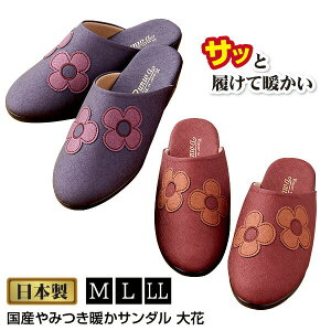 Y݂gT_  t[ { T_ ԕ N ۂۂ fB[X ~p  L 4E   M L LL T_ ~ T_ |J|J