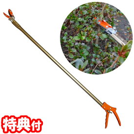 楽天市場 正月 種類 園芸用はさみ 剪定ばさみ 花 ガーデン Diy の通販 楽天市場 正月 種類 園芸用はさみ 剪定ばさみ 花 ガーデン Diy の通販
