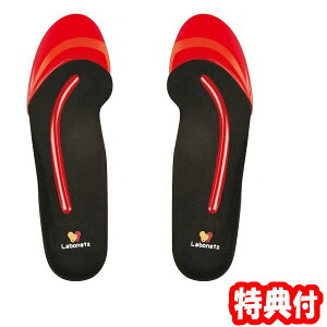 EH[LOeB[`[C\[X 2ȏwő h[ s␮C\[