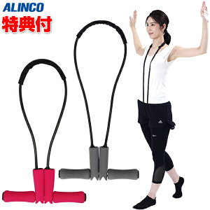 ACR ؎ p`[u EXG161P / EXG161H pEH[LO ALINCO GNTTCY`[u ؎p`[u tBbglX L_f^ EH[LO Lw {fBei