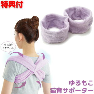 LwT|[^[ 2wő𖳗ɕύX Lw΍ pT|[g ₳pӎt b  QȂg Lw w ␳   pxg wT|[