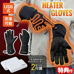 サンコー でんき手ぽっか 充電式 ヒーター手袋 バッテリー2個付 TBKR23HBK 指先まであったか手袋 ホッとグローブ 温熱手袋 ヒーターグローブ ホットグローブ 電気手袋 温熱グローブ ぽかぽか