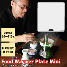 TVで紹介 サンコー フードウォーマープレート ミニ 食品保温プレート THANKO 電気保温トレイ Mサイズピザ対応 29×32cm 電気プレート ホットプレート 60～110度 卓上ヒーター 保温プレート 温熱機 保温機 食品保温機 コンビニ おでん 宅配ピザ お惣菜 保温器 電子レンジ不要