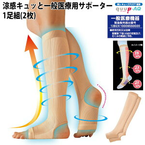 Lbƈʈ×pT|[^[ 1gi2j { Ë@F ƒp { T|[^[ ӂ͂T|[^[ T|[^[ Lbg  Ë@F  r ӂ