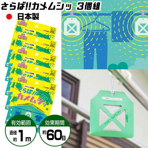 5Zbg !!JVb JV JV Op JV ݂艺 5 EXv[ JVN h~ \h    x_   ΂߂ނ T