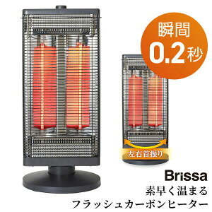 �y�I�Ԍi�i�z Brissa �t���b�V���J�[�{���q�[�^�[ BDGM900GY ���ԊO�� 0.2�b���g 900W �O���t�@�C�g���J�[�{���q�[�^�[ �d�C�X�g�[�u ��U�� �����q�[�^�[ �d�C�q�[�^�[ �E�ߏ� �q������ �J�[�{��