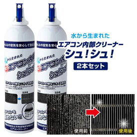 エアコン 掃除 スプレー そうじ クリーニング エアコンクリーナー 洗浄剤 家庭用 クーラー お掃除グッズ エアコン掃除スプレー【2本セット】エアコン内部クリーナーシュ!シュ! 420ml エアコン清浄