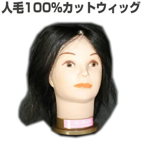 ヘアケア ヘアスタイリング用品 カットマネキン その他のヘアケア ヘアスタイリング用品の人気商品 通販 価格比較 価格 Com