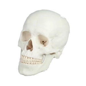 W W3f ͌^  i͌^ ͌^ KCRc  [ [͌^ 