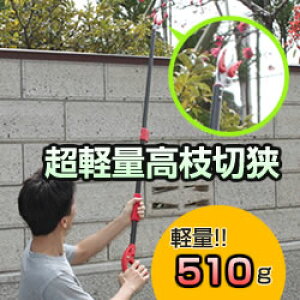 yGg[őS10{zLk}؂oT~ }؂oT~ y Lk ͂  K[fjOpi } nT~ | y p y } }؂ y Lk ߂