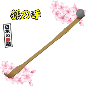 ̎itj@ Ղ  ̂̂ ߋ ̎ }bT[W