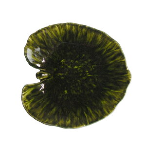 yP15{21NLOӍՌ11/14 20:00-12/1 9:59z RX^mo (COSTA NOVA) BG RIVIERA AP~ [t 18cm tH