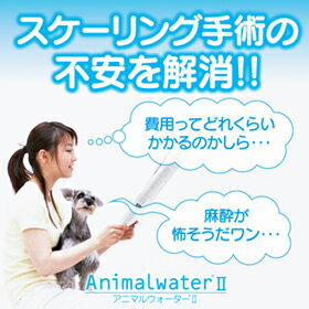 水道水でOK!