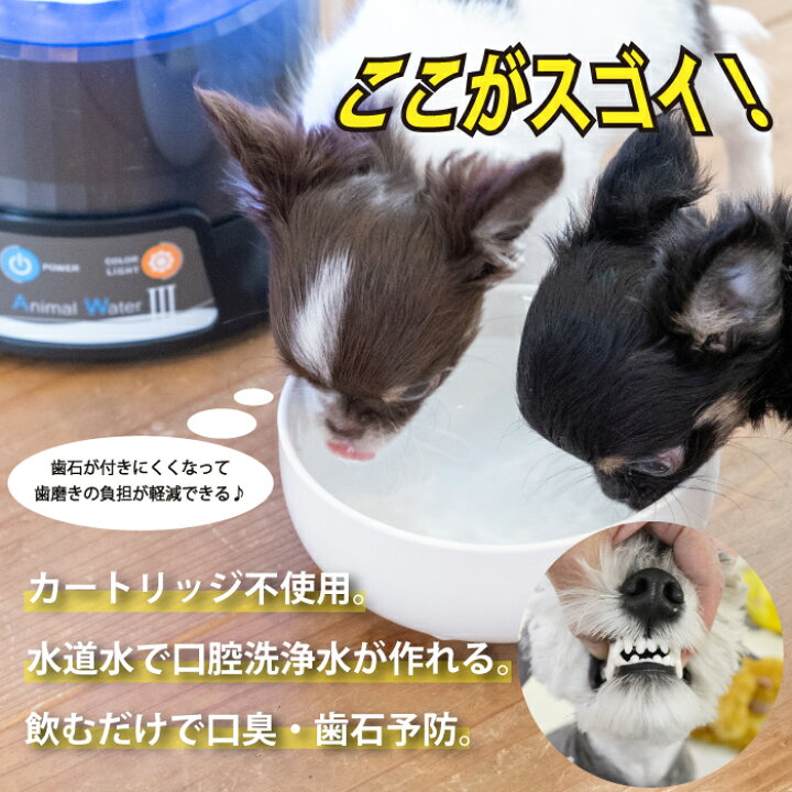 楽天市場】アニマルウォーター3／水道水でつくるペット用ケア飲用水 