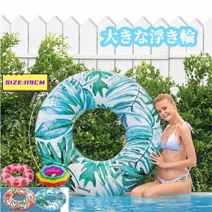  l TCY  lp   G a119cm Vїp XC~O   C C  v[ r[`